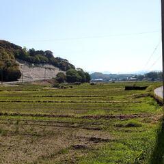 クーラーボックス できたら大きめのもの