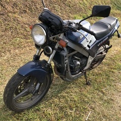 ホンダ　VTZ250  書類付レストアベース車の画像