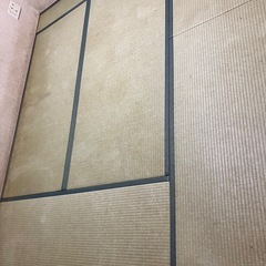 畳　1畳5枚+1