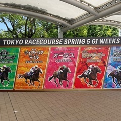 東京競馬場　競馬後の飲み友