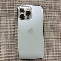 iPhone 13Pro