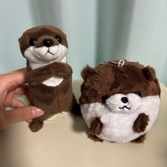 【新品】カワウソ　ぬいぐるみ　2点セット