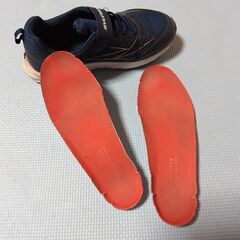 瞬足　スニーカー　23.5cm　中古品　ネイビーの画像