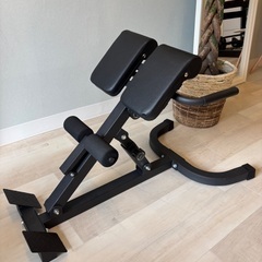 【美品】バックエクステンション 背筋マシン｜自宅＆スタジオ使用O...