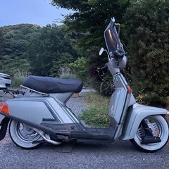 ヤマハ ベルーガ80
