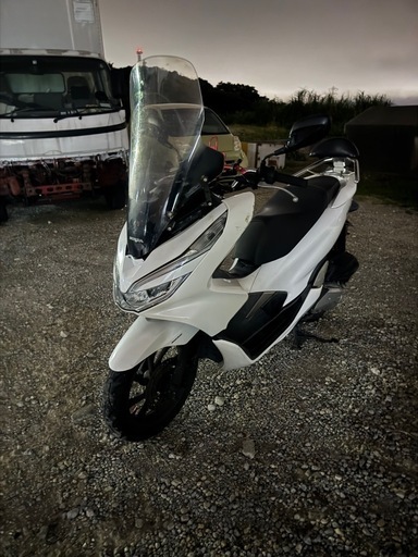 バイク PCX125JF81