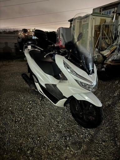 バイク PCX125JF81