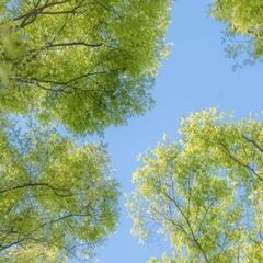 🌼育児中・子育て中の方も大歓迎！