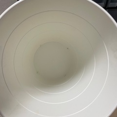 ゴミ箱　ダストボックス　IKEA 白の画像