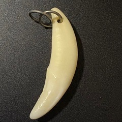 狼の牙を使ったネックレストップ