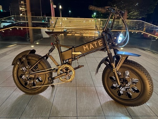 大きい割引 MATE BIKE MATE X250 (ミヤビ カスタム eggriderヘッドライト 自転車本体