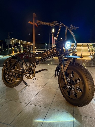 人気便利グッズ BIKE MATE MATE (ミヤビ カスタム eggriderヘッドライト X250 自転車本体