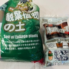 大きな植木鉢の画像