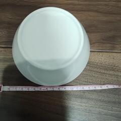 フルグラボウルの画像