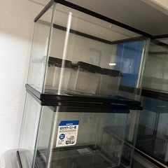 S水槽　各500円　まとめ割あり