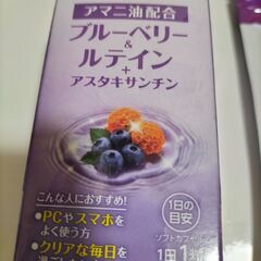 【期間限定 約5000円お得】メノサポ + ダイケン ブルーベリ...