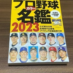 阪神タイガース 2023年 PINSCOLLECTION