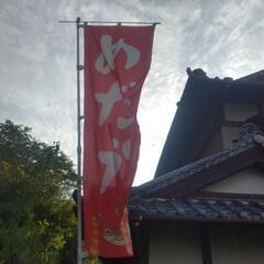 サタン、みゆき、オオカ、ラメ系、他色々、の画像