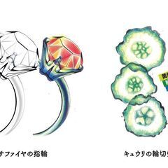 ほめほめ満点の教室。　毎月第1第3水曜日にぬりえ教室を開催いたします。【見学無料】カフェにて「おいしい♡手習いぬりえ教室」大人の塗り絵で脳活！　ミュージックカフェアンジェスさんカルチャールームにての画像