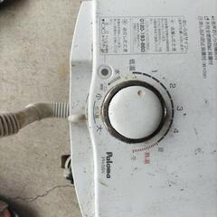 イワカシキ？の画像