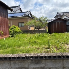 新潟市南区の戸建て物件。敷地も広く整備して民泊経営、家庭菜園や倉庫や物置、駐車場としていかがでしょうか？ - 賃貸（マンション/一戸建て）