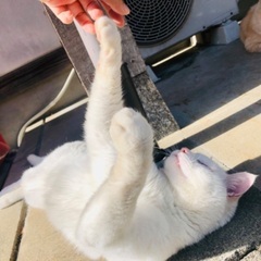 ご自宅に不要なタオル類はありませんか？