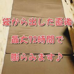 茶色のページ【超美品＆袋入り】97×200cm⭐日本製⭐工場直送⭐国内産メーカー⭐会社の倉庫整理⭐長持ち設計⭐厚み3.0〜4.0cmなのに1枚でもOK⭐底付き感ありません⭐ちなみに、良くある、通販で売っているマットレスは、軽量タイプなので、早くへたります。こちらは、ずっしり重たく密度もあります❣️普通は、他社が加工して、タグをつけて販売するので、中間手数料が上乗せされますね(*^^*)工場からそのままの状態のため、お安く出品しています🥰倉庫分のみです🤗💕1枚でも底付き感少ない⭐1枚のお値段です👍✨の画像