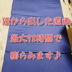 残１枚🐻即🆗紺色【超美品＆袋入り】97×200cm⭐日本製⭐工場直送⭐国内産メーカー⭐会社の倉庫整理⭐長持ち設計⭐厚み3.0〜4.0cmなのに1枚でもOK⭐底付き感ありません⭐ちなみに、良くある、通販で売っているマットレスは、軽量タイプなので、早くへたります。こちらは、ずっしり重たく密度もあります❣️普通は、他社が加工して、タグをつけて販売するので、中間手数料が上乗せされますね(*^^*)工場からそのままの状態のため、お安く出品しています🥰倉庫分のみです🤗💕1枚でも底付き感少ない⭐の画像