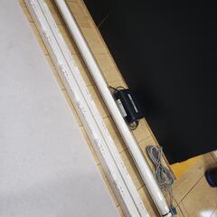 アロワナ　熱帯魚　水槽用品の画像