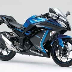 カワサキ　Ninja250  2015スペシャルエディション     