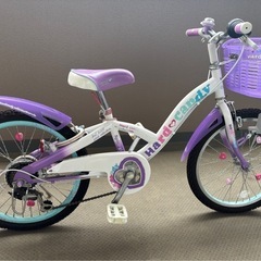 【子供用自転車20インチ】TAMAKOSHI 玉越 ハードキャン...