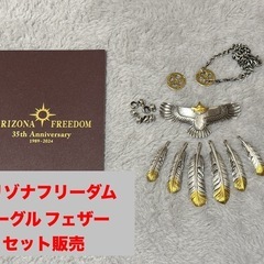 【本日受け渡し可能】【美品】アリゾナフリーダム ネックレス 24kカスタム 大イーグルの画像
