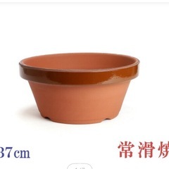 【取引完了】テラコッタ　植木鉢 37㌢　丸型12号 　浅型 素焼き鉢の画像