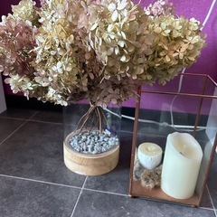 ドライフラワーの画像