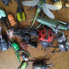 ☆昆虫のおもちゃ差し上げます☆