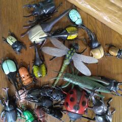 ☆昆虫のおもちゃ差し上げます☆の画像