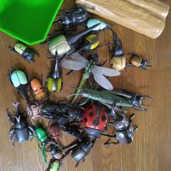 ☆昆虫のおもちゃ差し上げます☆の画像