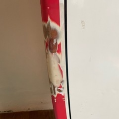 ショートボードの画像