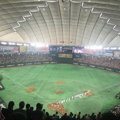プロ野球観戦友達募集！！！