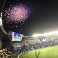 プロ野球観戦友達募集！！！ - 新宿区