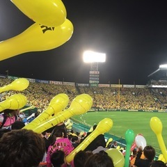 プロ野球観戦友達募集！！！ − 東京都