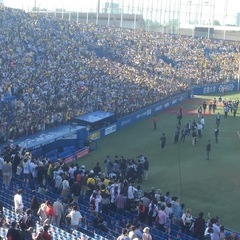 プロ野球観戦友達募集！！！ - 友達