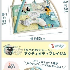 プレイジム　マットの画像