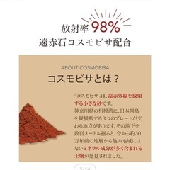 お買い得　10日分　足裏シートの画像