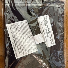 サコッシュ　ディズニーの画像