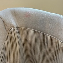 nuna バウンサー リーフグロウ（シャンパン）リクライニング付
の画像