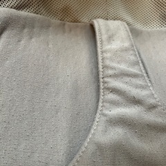 nuna バウンサー リーフグロウ（シャンパン）リクライニング付
の画像