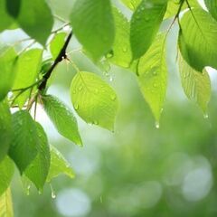 心と体を緩める初夏の癒しツアー【熊本人吉】 青井阿蘇神社（…
