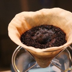 コーヒーかすを野良猫よけに