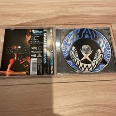 SHACHI/BASERUNNINGの画像